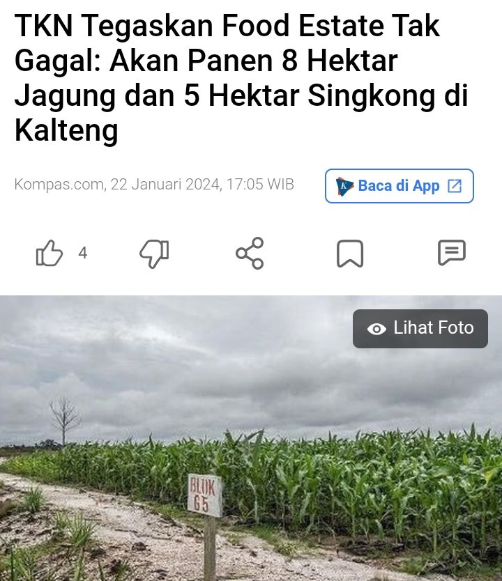 Mantap banget nih, akhirnya FOOD ESTATE AKAN PANEN.

8 hektar jagung 
5 hektar singkong 

😁😁😁😁