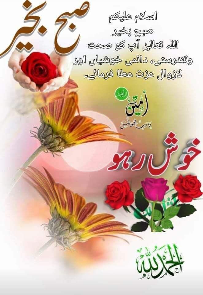 Mussarrat Malik (@malikji2024) on Twitter photo 