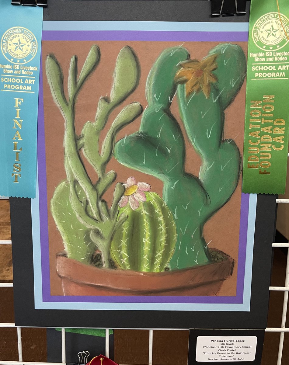 Mrs. Amanda Joyce tweet media