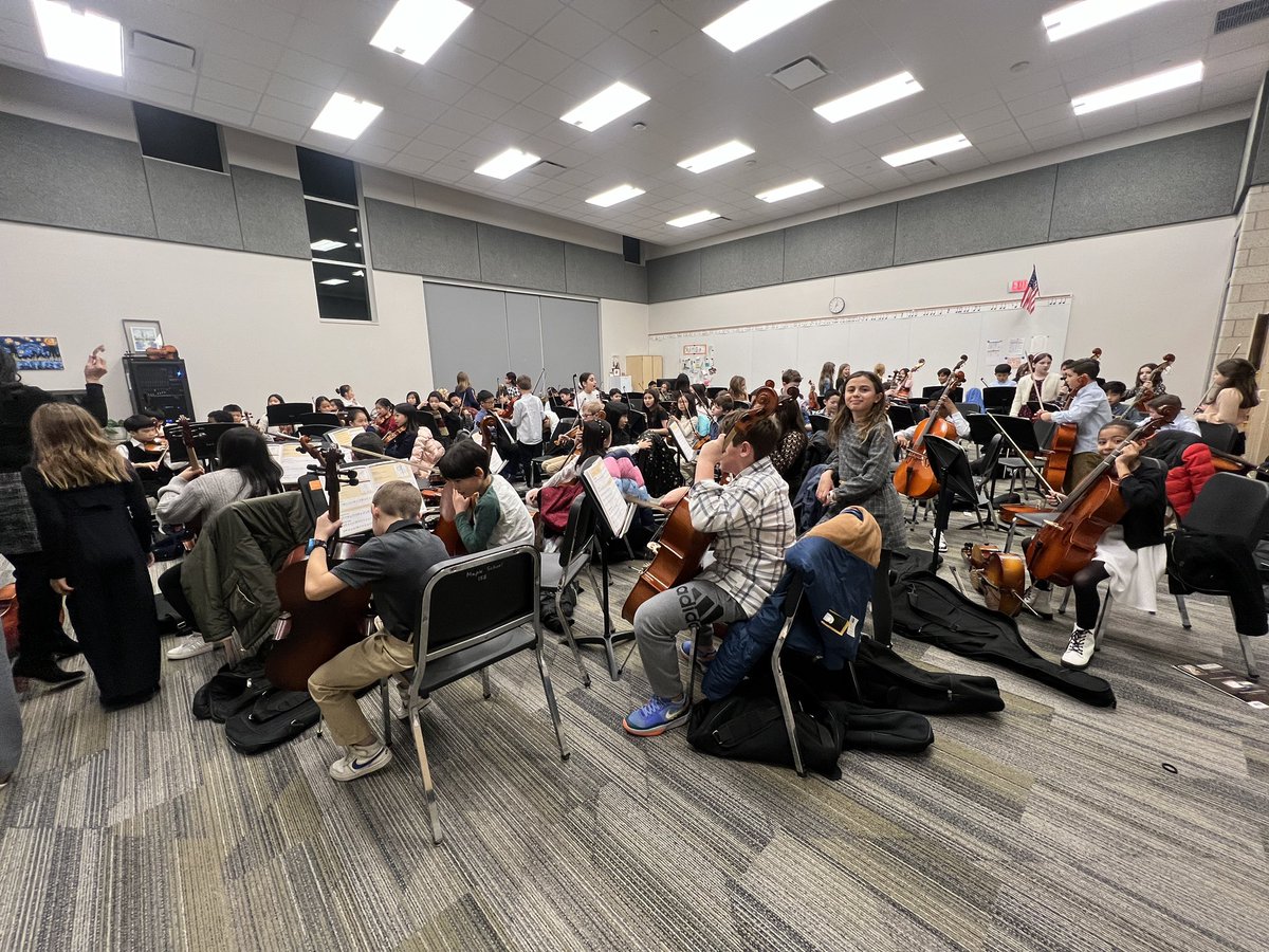 Emily Tammaru tweet media