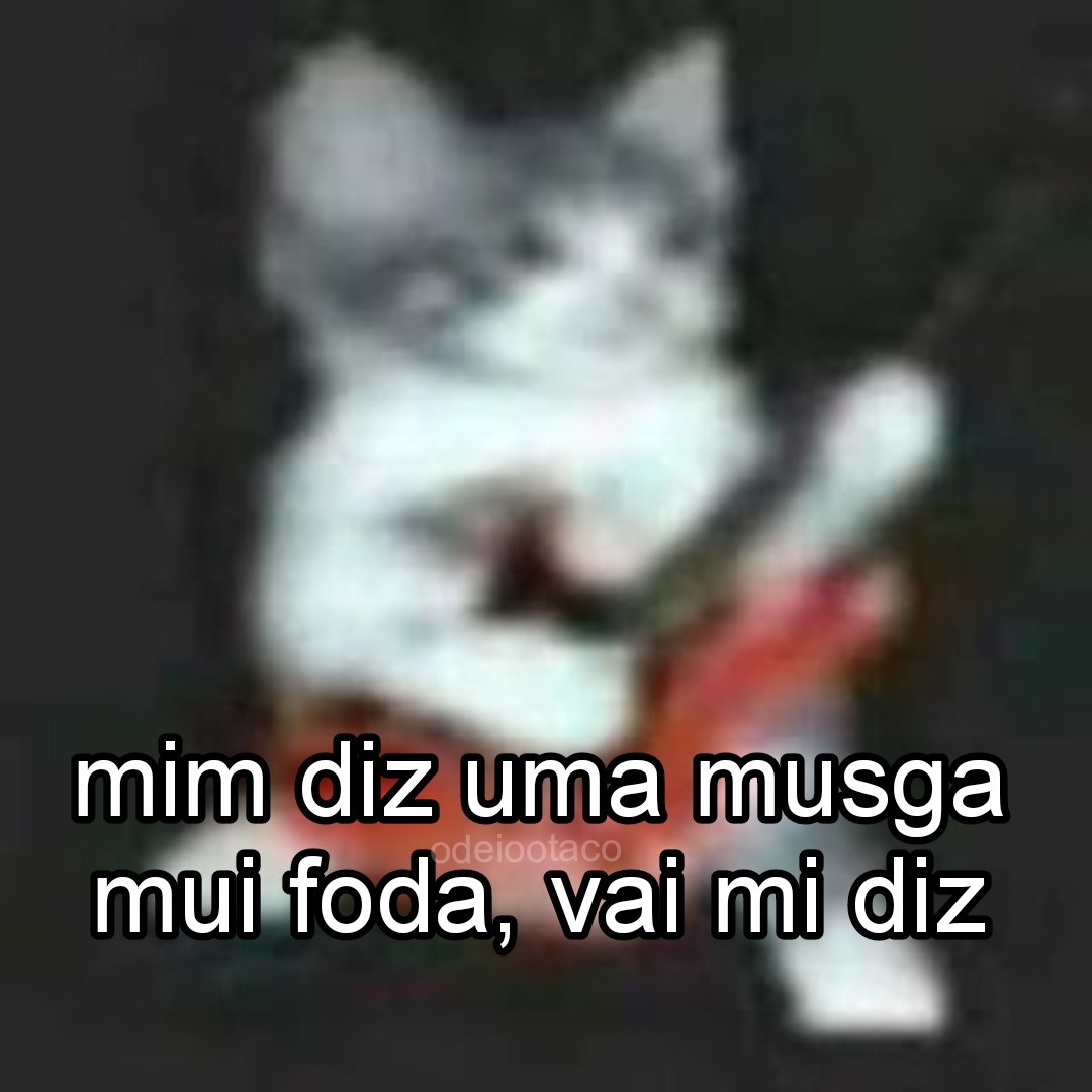 perfil dedicado a gatinhos e peitos tweet media