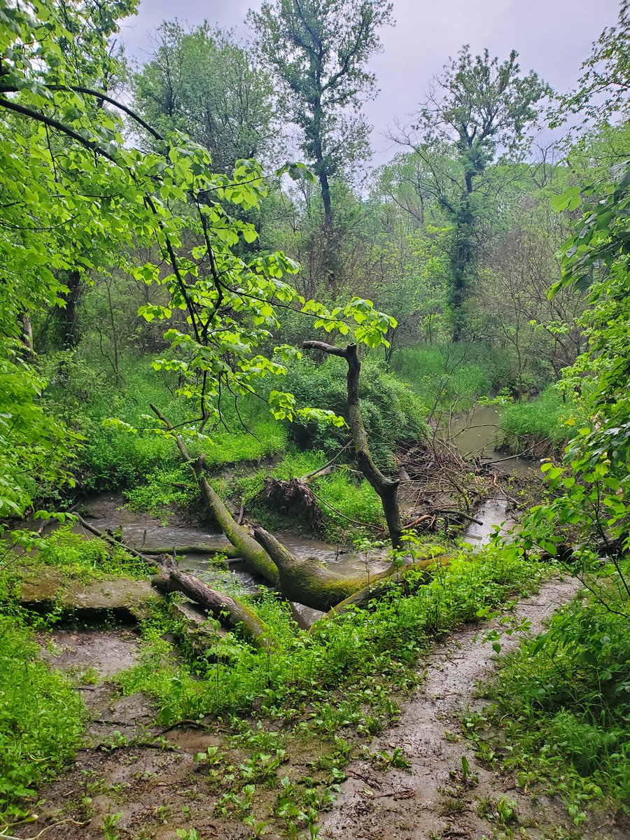 Hickory Hill Park
Iowa City, Iowa
4.7/5 stars (366 ratings)
google.com/maps/search/?a…