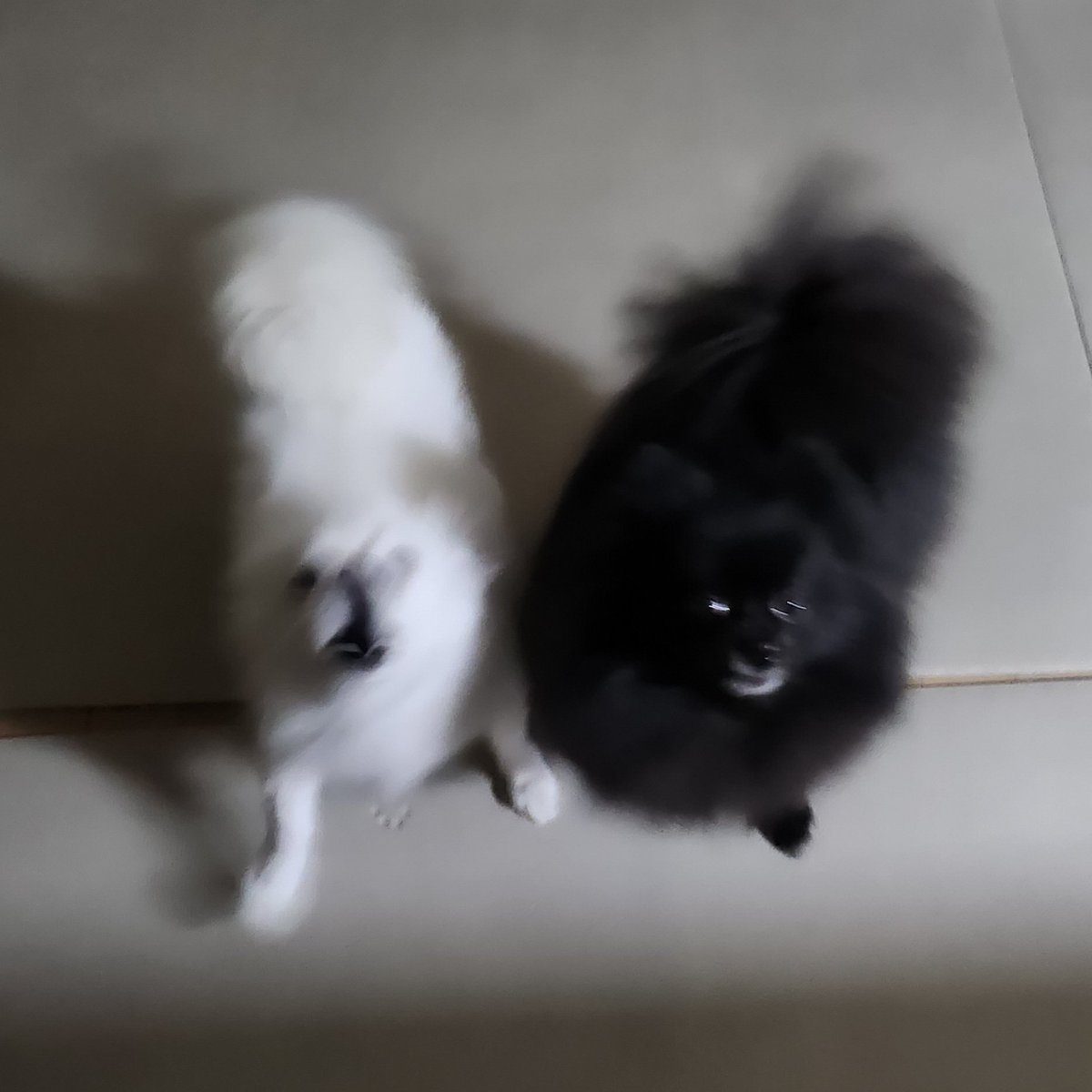 분노 이천퍼센트