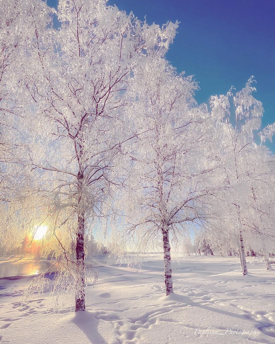 coco_p2a's tweet image. Have a nice day !