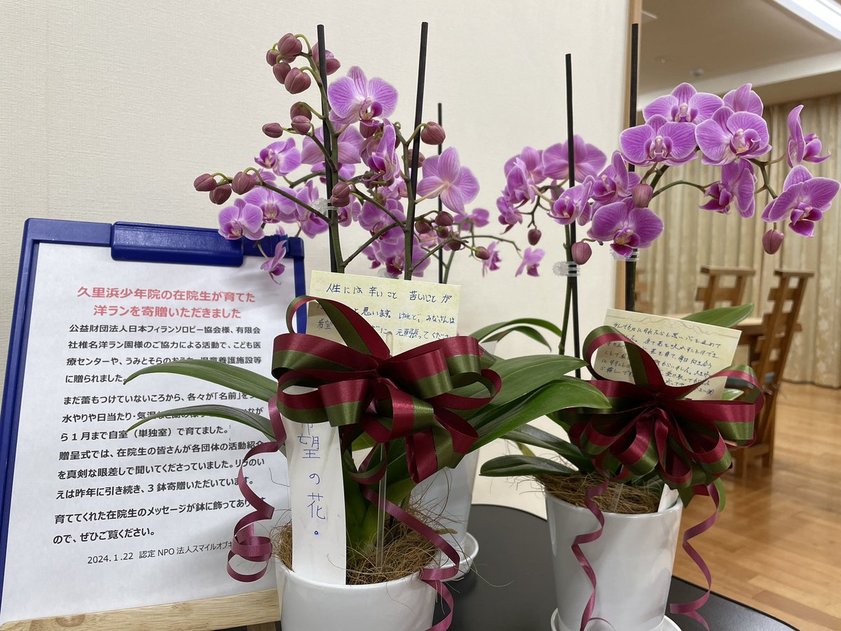 lilanoie's tweet photo. 今年も胡蝶蘭を寄贈いただきました。
久里浜少年院の在院生おひとりおひとりが大切に育てた蘭です。
日本フィランソロピー協会さんのプログラムで、県内の福祉施設に寄贈されています。

メッセージに込められた思いとともにリラのいえで引き継がせていただきます。 https://t.co/0uIX9nNTHf