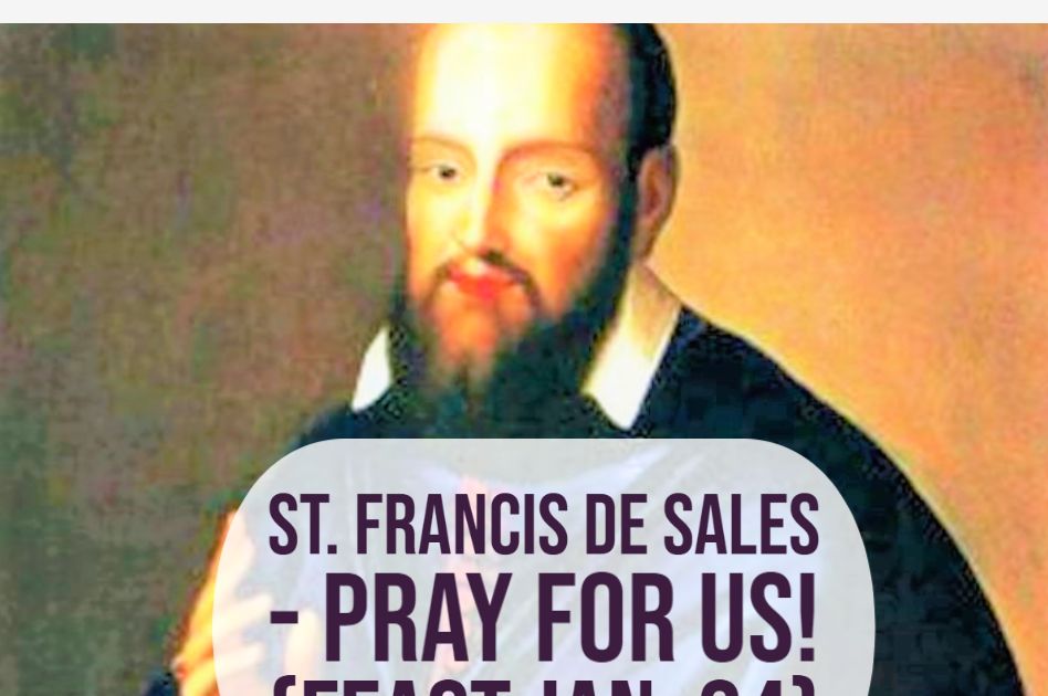catholicnews1's tweet photo. Saint January 24 : St. Francis de Sales a Bishop who was Famous for his Great Advice! Patron Saint of: #Confessors; #Deaf people; #Educators; Writers; Journalists
https://t.co/2LLalz8NTs https://t.co/q5AlxdQNX6