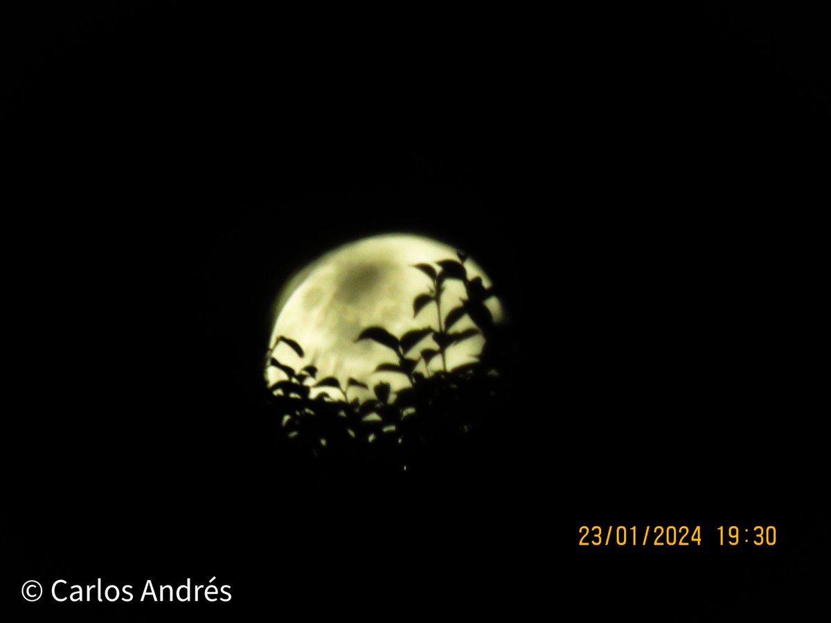 #Astrophotography #photo 🇨🇴 #LUNA @Monikhin @ranamarilla @edsaay @wilcheschaux @HORCAUCA