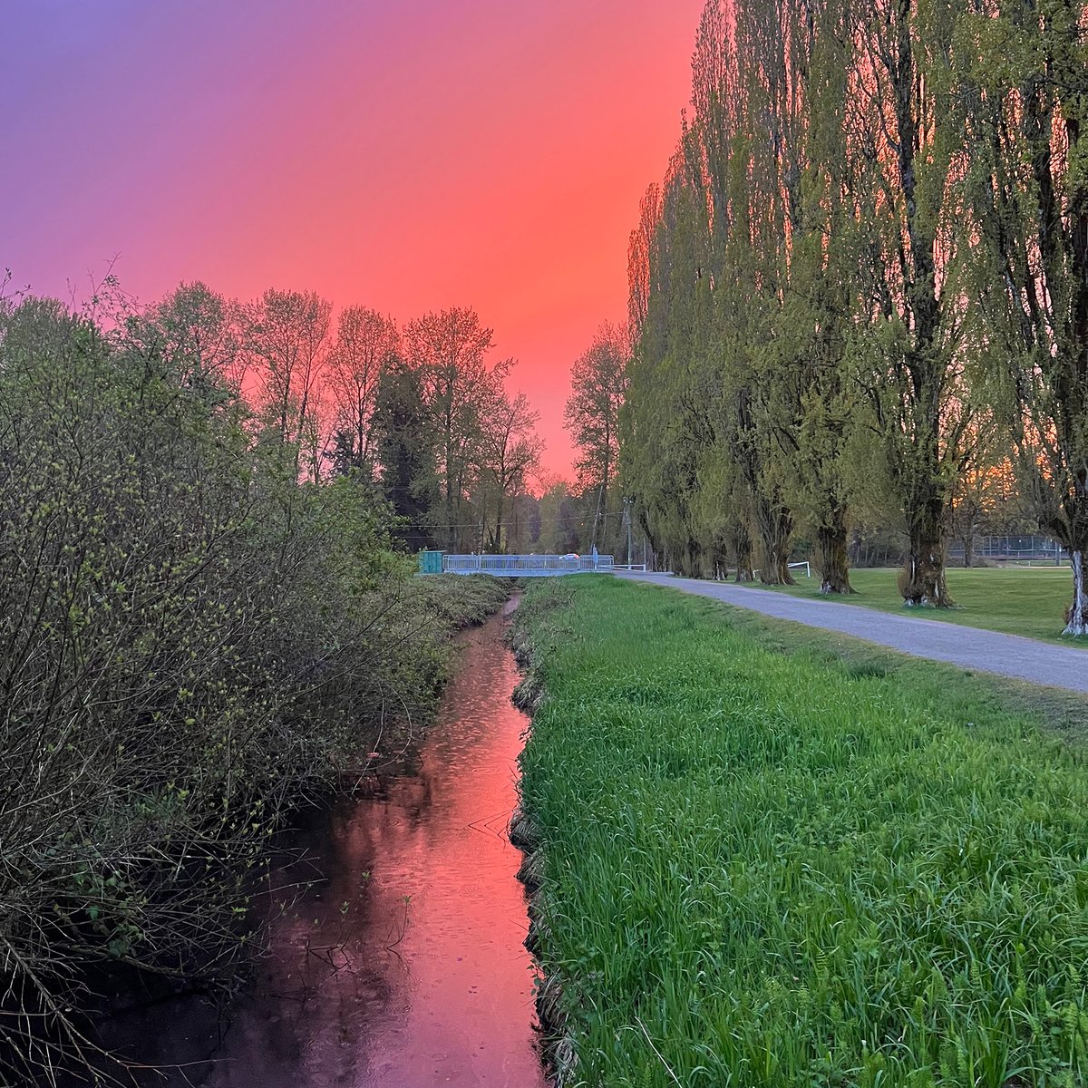 vancouvertrails's tweet image. The best ways to keep in touch with Vancouver Trails ❤️🙏

🌲Enewsletter
vancouvertrails.com/enewsletter/

🌲Instagram
instagram.com/vancouvertrail…

🌲Youtube
youtube.com/vancouvertrail…

🌲Threads
threads.net/@vancouvertrai…