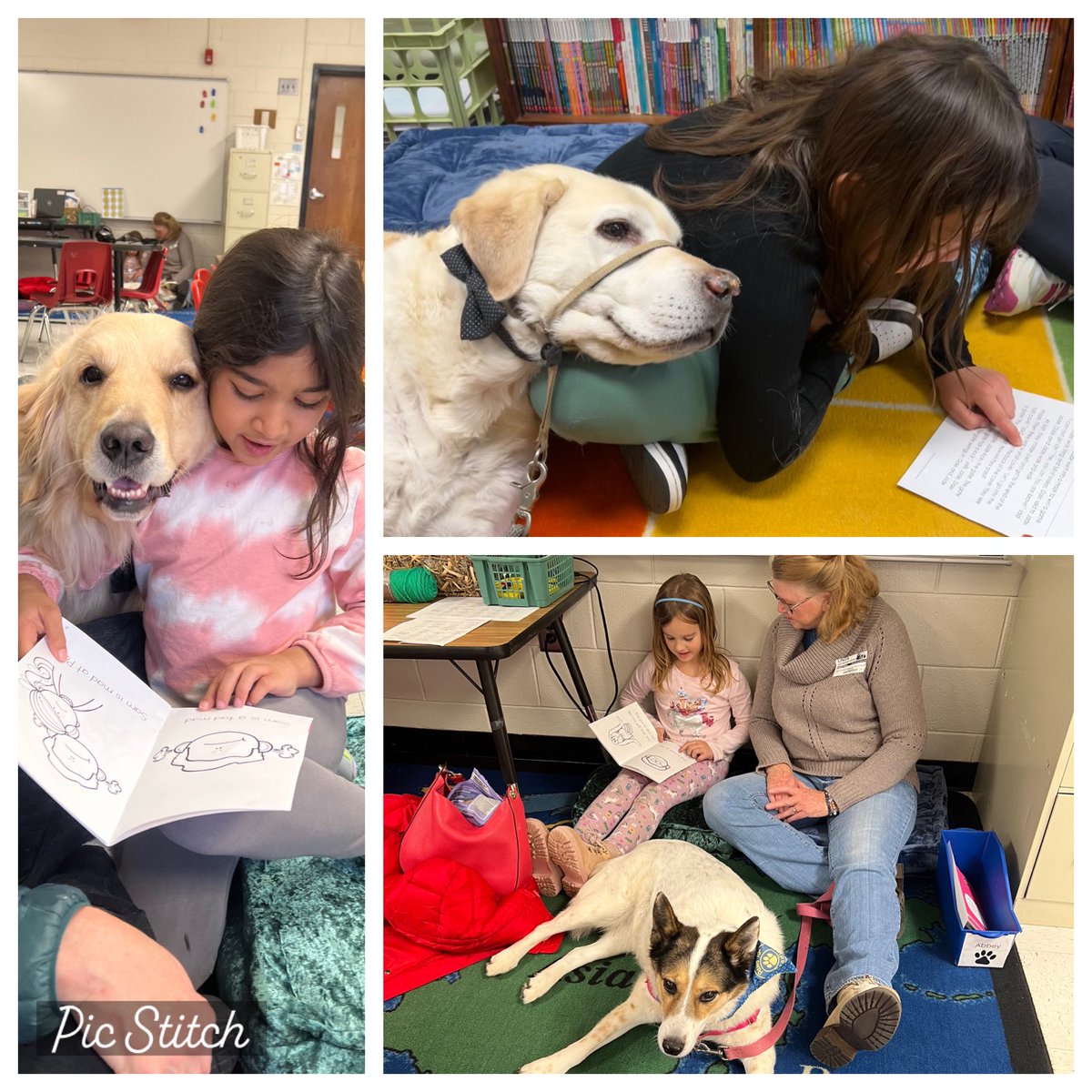 Tiffany Barnes, M.Ed. (@mpereadwithme) on Twitter photo Every dog needs a child with a good decodable book. ♥️🐾📚MPE is thrilled to bring Paws for Reading back - Science of Reading Era! <a href="/MPE_Principal22/">Ayo Richardson</a>
#EveryChildReads Every dog needs a child with a good decodable book. ♥️🐾📚MPE is thrilled to bring Paws for Reading back - Science of Reading Era! <a href="/MPE_Principal22/">Ayo Richardson</a>
#EveryChildReads