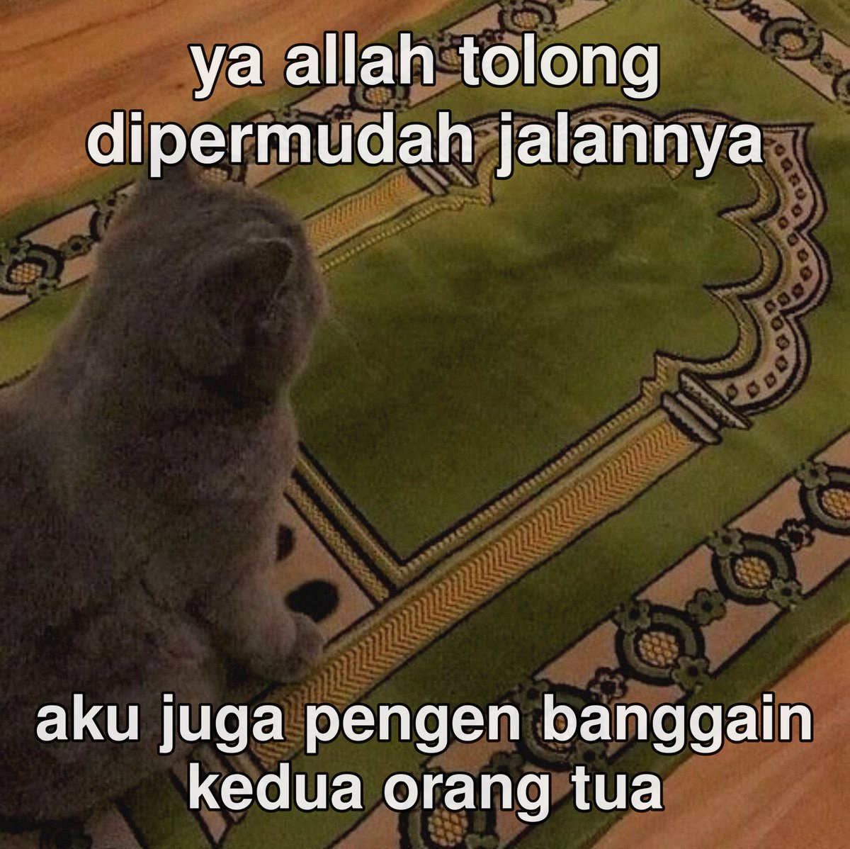 kelvin tweet media
