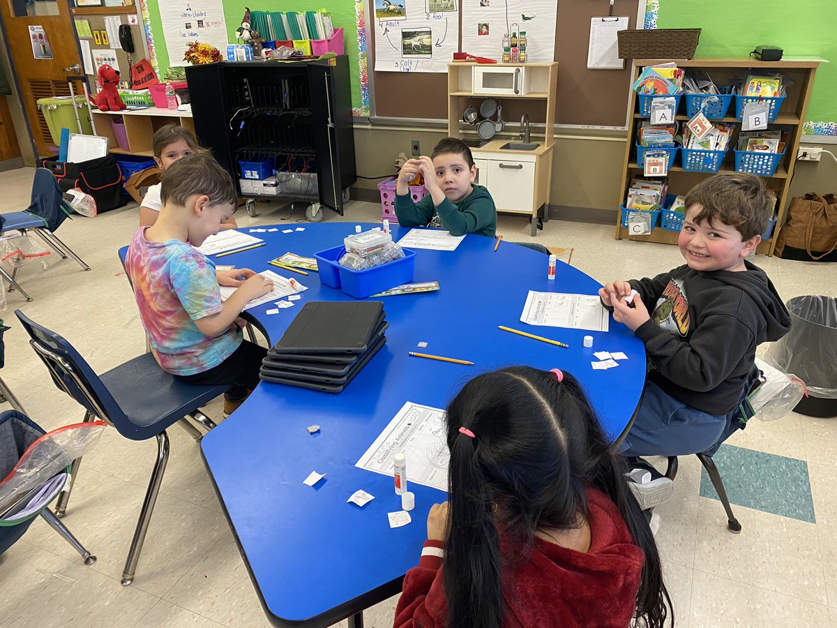jmcpg9's tweet photo. Future maestras y maestros in the making! Student teachers helping their classmates sort by animal classifications!🐄🐍🐸🦅🐟@MsJacobs_Rm_15 https://t.co/kC29510NPF