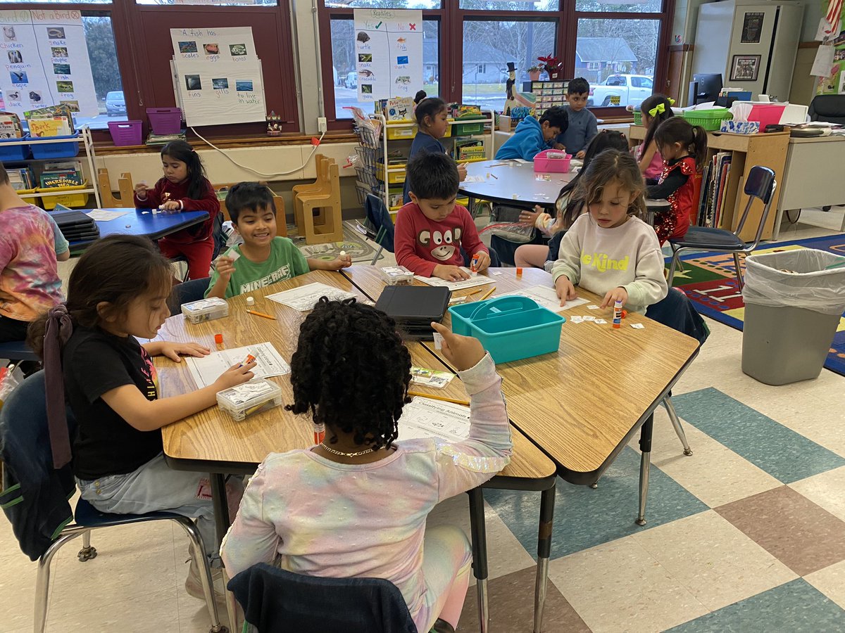 jmcpg9's tweet photo. Future maestras y maestros in the making! Student teachers helping their classmates sort by animal classifications!🐄🐍🐸🦅🐟@MsJacobs_Rm_15 https://t.co/kC29510NPF