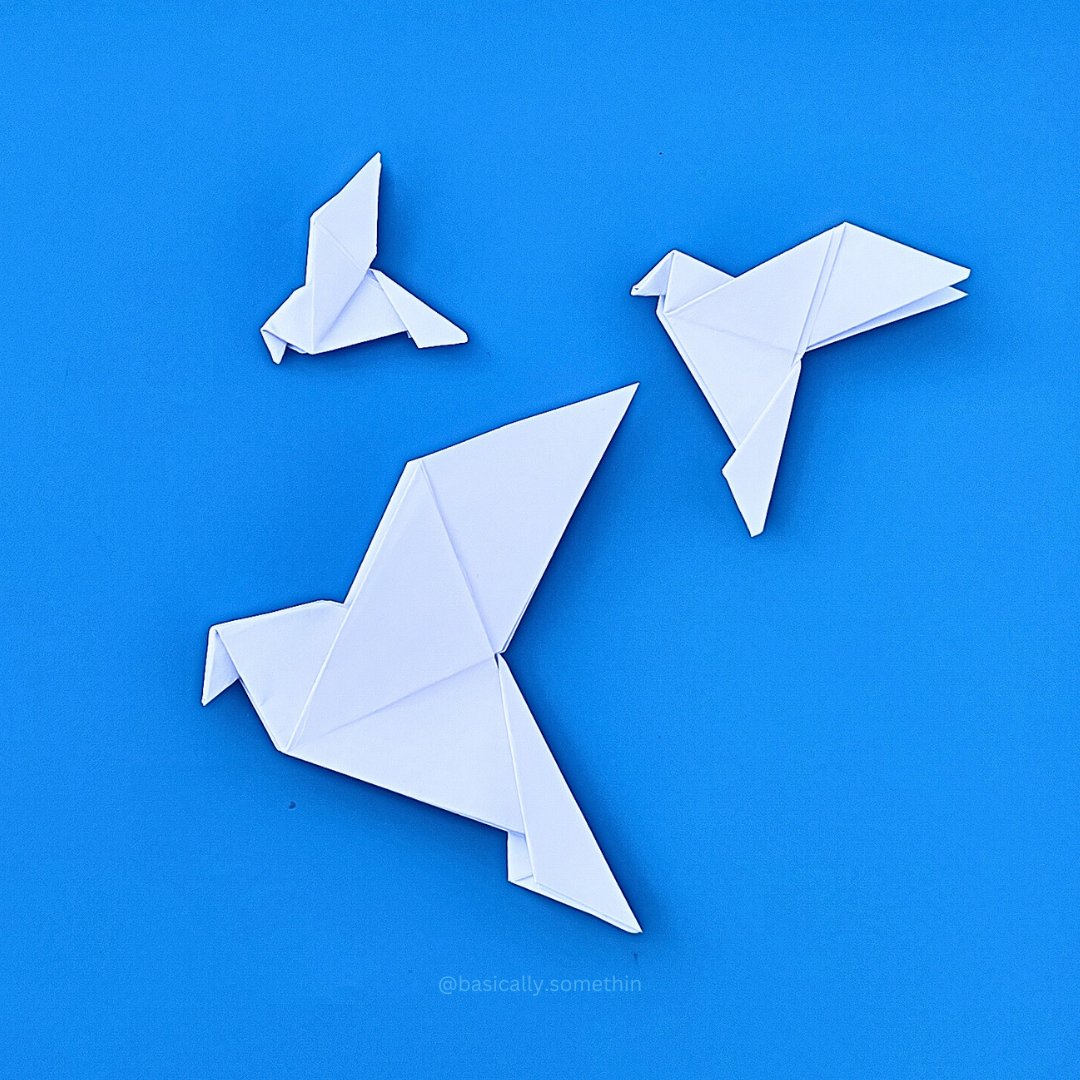 BasicalySomethn's tweet photo. Transforming paper into peace, one fold at a time! 🕊️✨ Check out my Origami Dove creations – easy and therapeutic. Ready to craft your own symbols of peace? Dive into my YouTube tutorial now! 📽️📜 #OrigamiDove #CraftingPeace #DIYArt

https://t.co/cjBZi7o1Oc https://t.co/TaLV7pBtAE