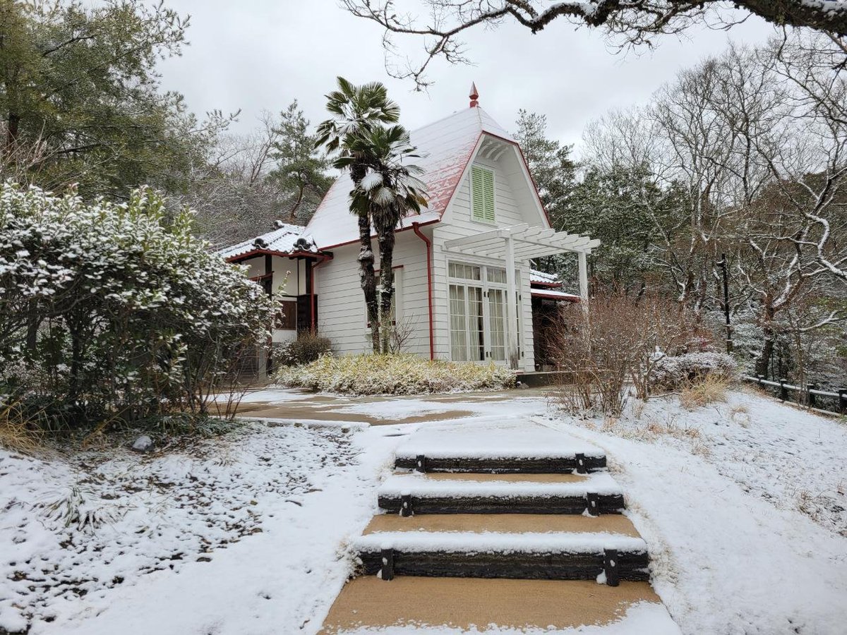 ghibliparkjp's tweet photo. 今朝の「どんどこ森」はこのような様子でした。 https://t.co/K7IXLrHchC