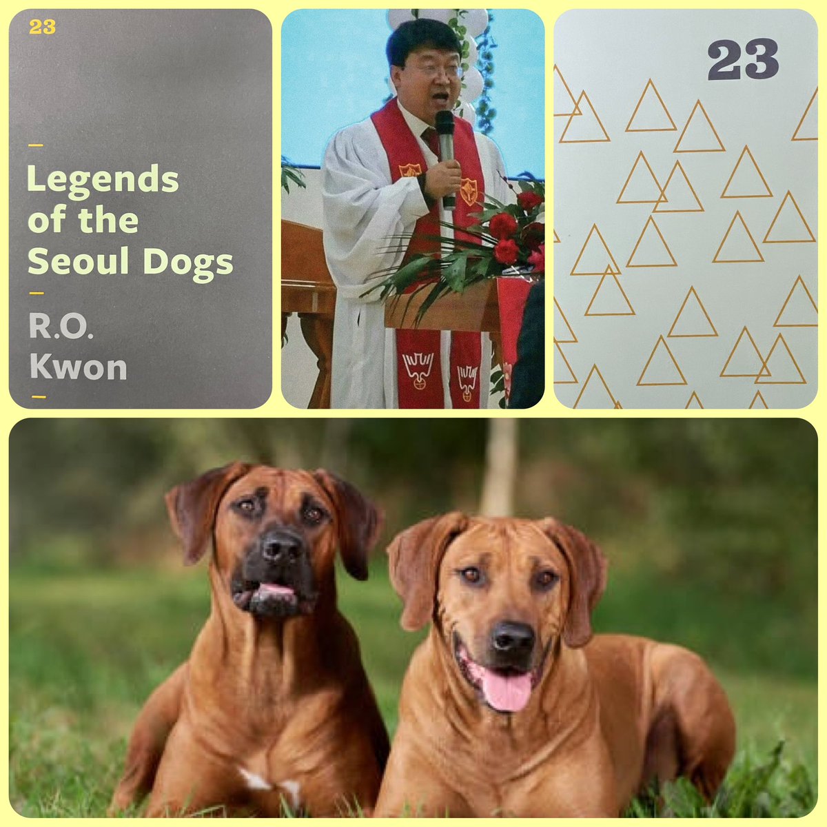 mrmuleman's tweet photo. Day 23 #ssac2018
“Legends of the Seoul Dogs” By R.O. Kwon

Another fantastic gem, loved the story, the construction, the prose, all of it…

“It wasn’t that he didn’t believe in his father’s God, not quite.”

@ttbrader @barbaramcveigh @DesmondReid https://t.co/UgCkn3AzmL