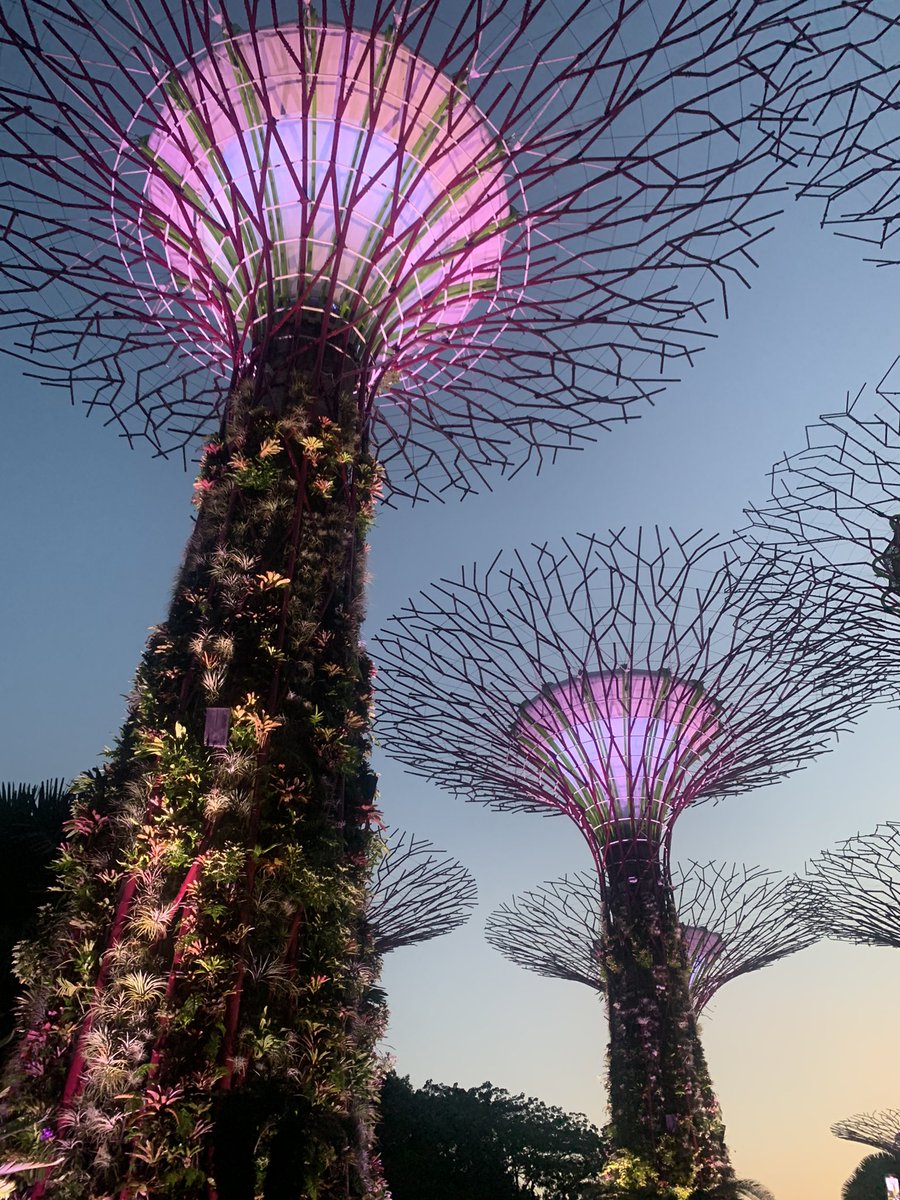 47kgx's tweet photo. i ❤️ singapore 😭😭😭<3 xox https://t.co/nWPbkJLfg7