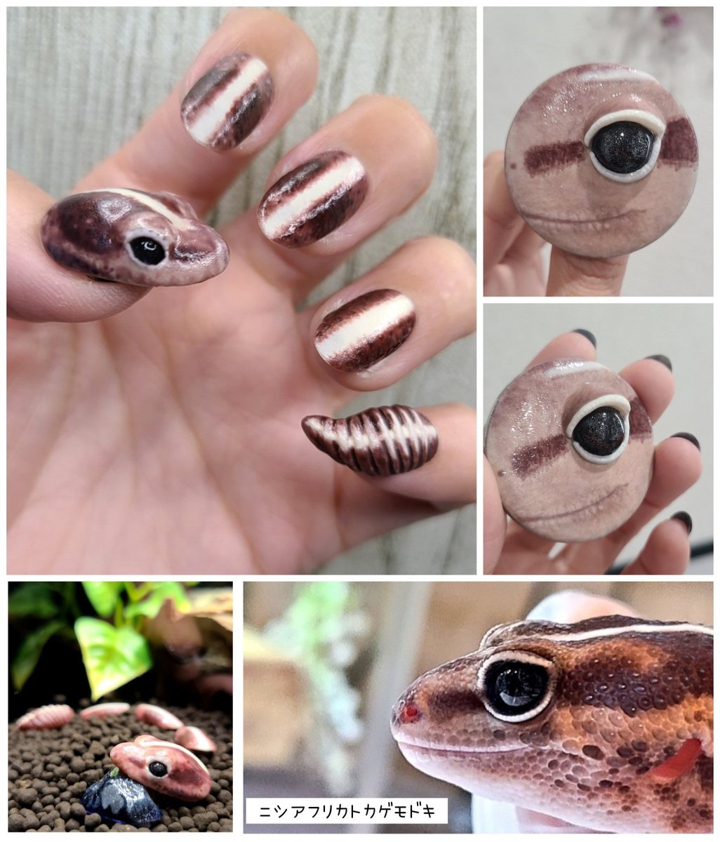 New choice】11/23 インストアイベント on X