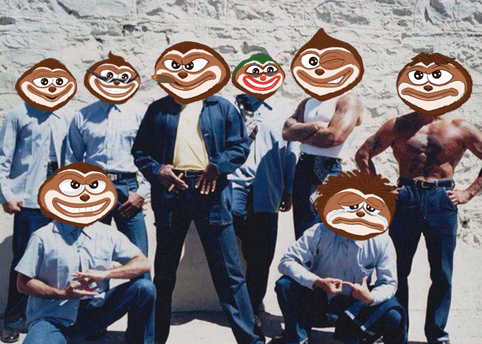 JamesCoinSOL's tweet image. Me &amp;amp; the boys after the $JAMES pump #SOL