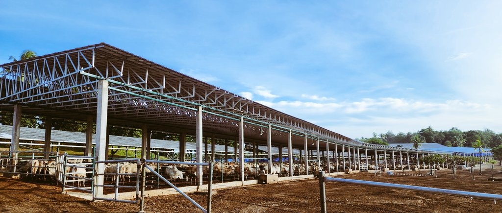 Troy Setter tweet media