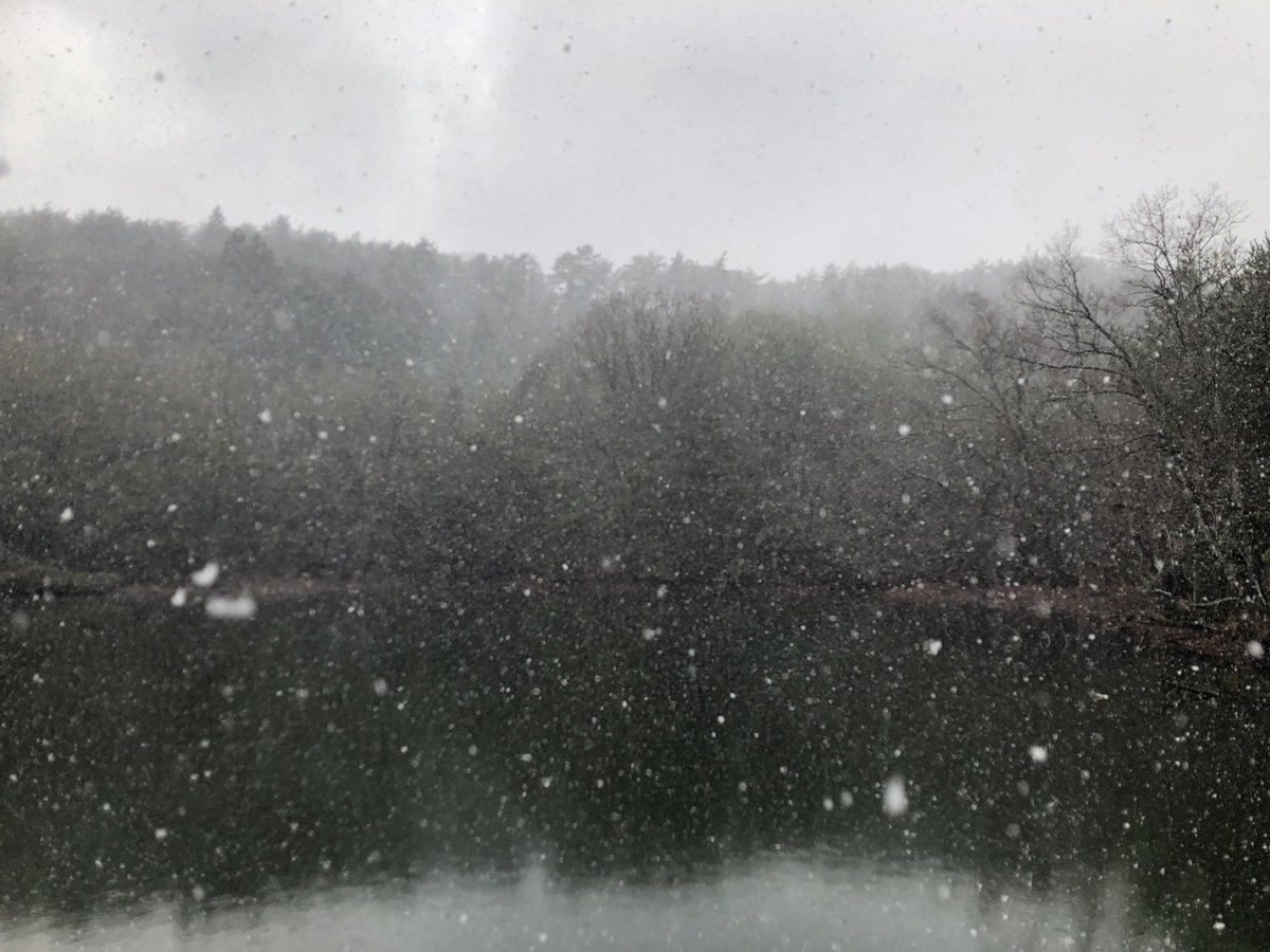 ギリッギリ坊主のがれ…