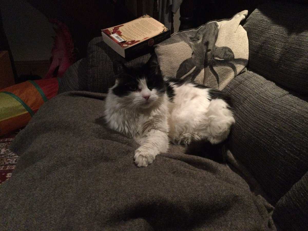 Where will Keith sleep tonight 3/? 

Looks like human 2 needs to sleep in the basket today. The settee is occupied human.