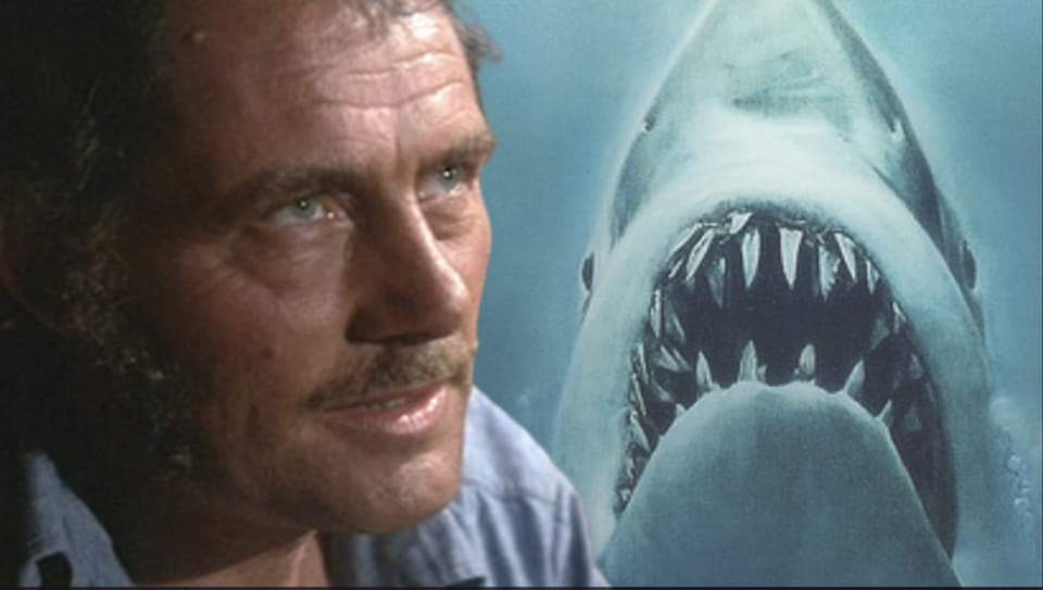 Yesterday was #Oscars2024 #OscarNoms day, should #RobertShaw have received an #Oscar nomination in 1976 for his role as #Quint in #StevenSpielberg's #JAWS? 

And was it the biggest awards snub of all time? 

Discover more here and discuss in the comments: thedailyjaws.com/blog/why-rober…