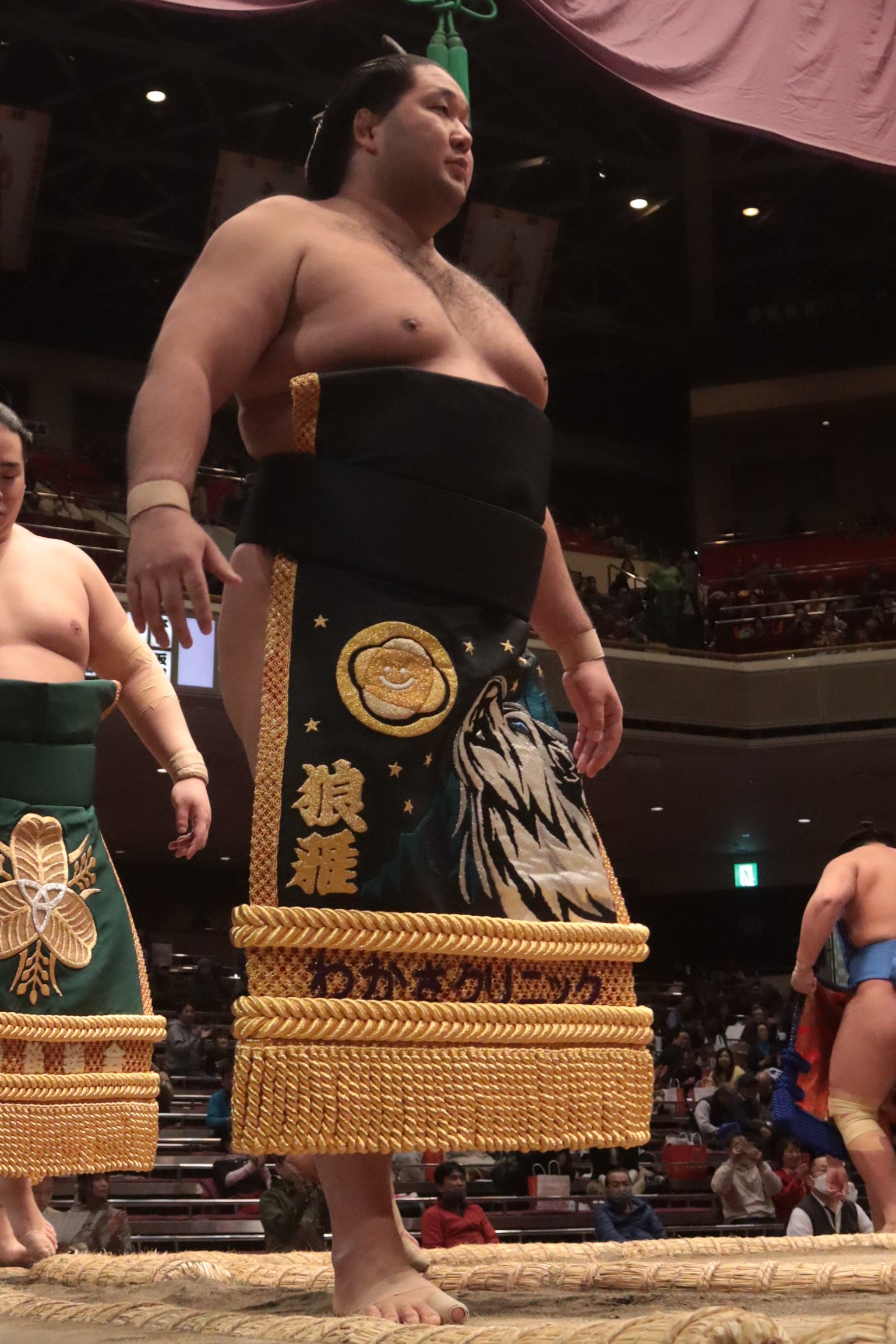 日本相撲協会 大相撲五月場所 十一日目 十両の一番 豪ノ山-落合 #sumo DAY11