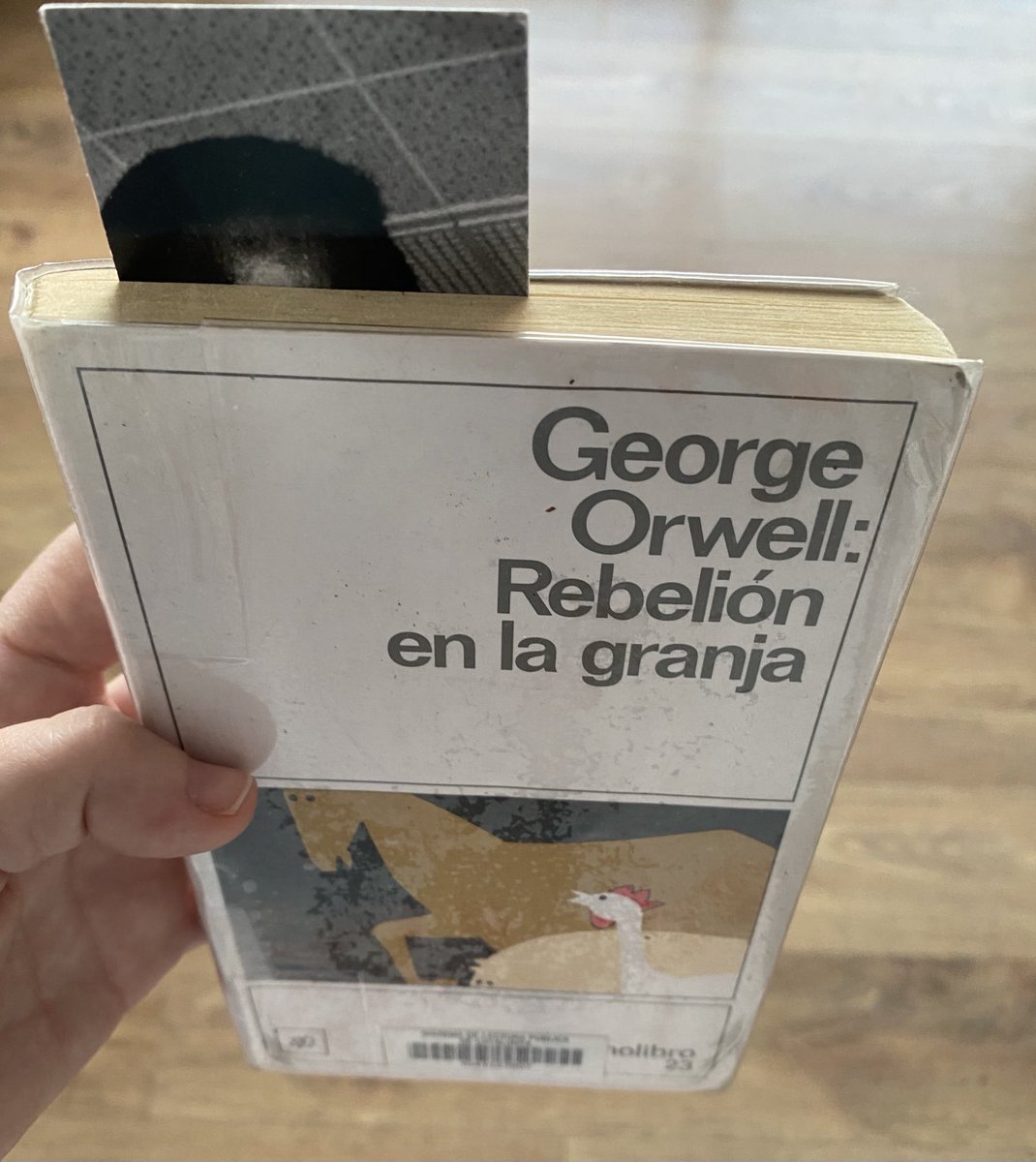 Això no té pinta d’acabar bé. 🧐