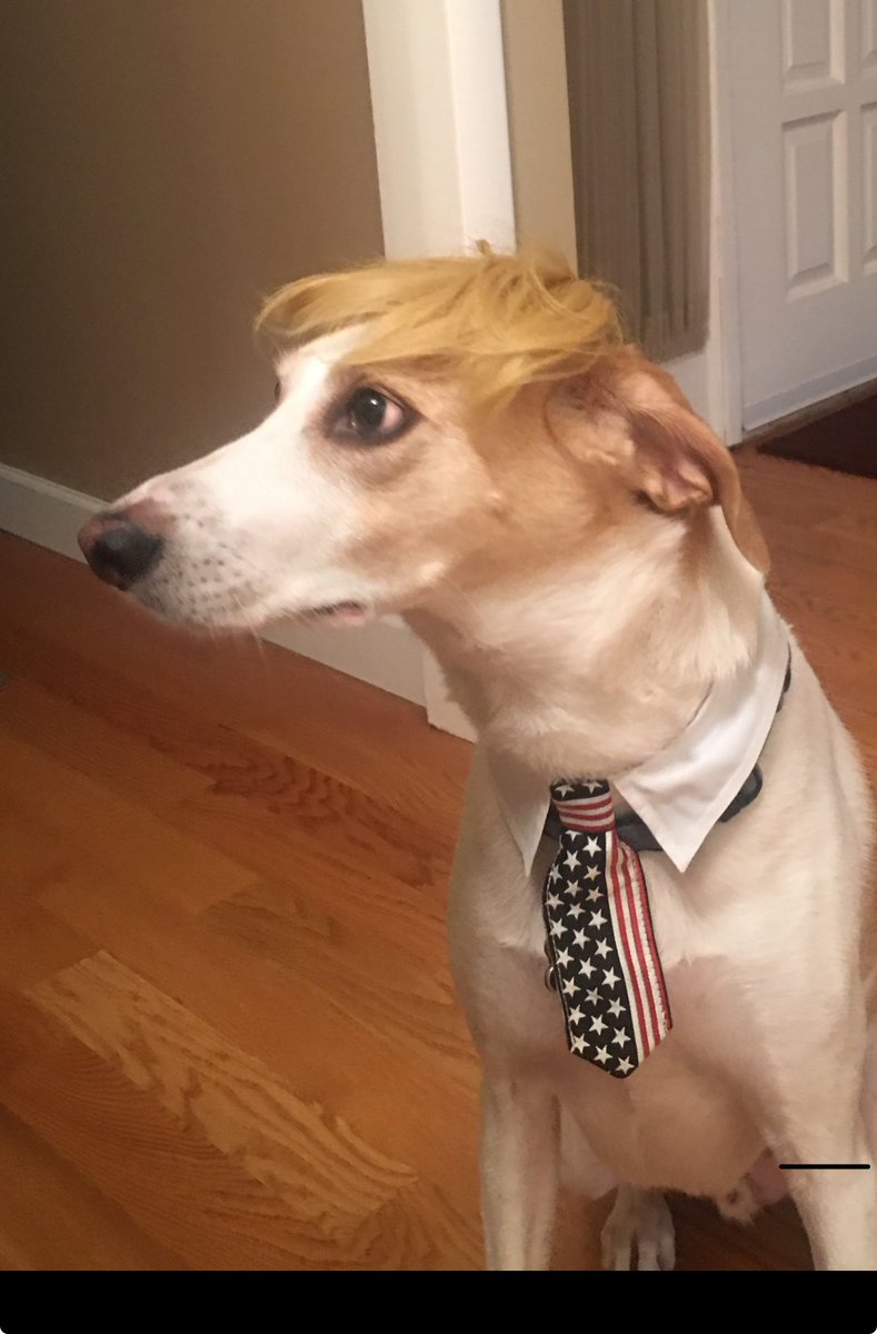 Roger Savage tweet media