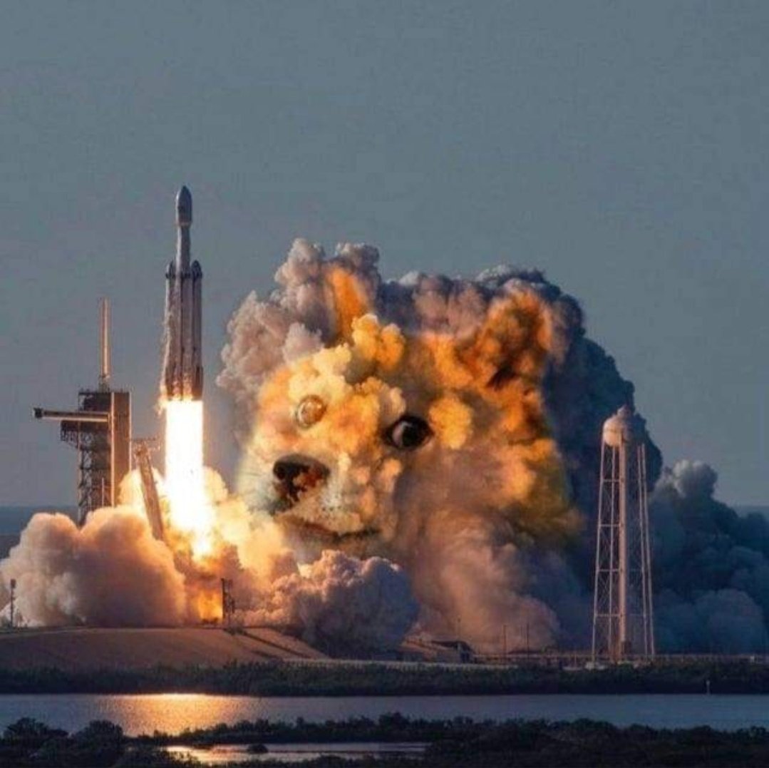 doge_albania's tweet photo. #dogecoin to the mooooooooooooooooooon 🚀 https://t.co/4ja9usW3ky