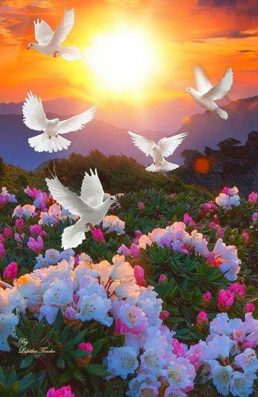 💙 Ahmad Al Deeb💙 (@alwafi1212) on Twitter photo 