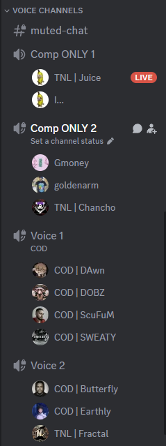 Head__Chancho's tweet photo. discord looking real nice rn @TeamNameLoading https://t.co/rMou9w3WUq