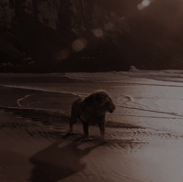 ⁣ ⁣ ⁣ ⁣ 𝔞𝔰𝔩𝔞𝔫; ⁣ ⁣ ⁣ ⁣ tweet media