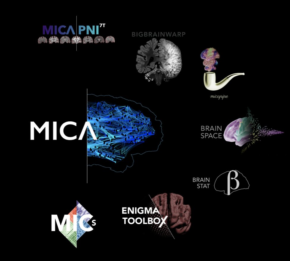 Our lab (mica-mni.github.io) @TheNeuro_MNI is looking for students & postdocs with strong programming skills ( #python, #bash, #git, #docker, ...) and interest/experience in neuroinformatics , open science, and clinical applications. Please RT, and DM/email for details.