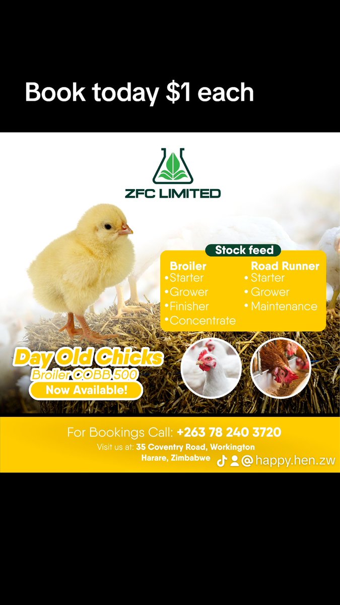 Taking bookings for Ross Broiler day old Chicks $1 each Collection on Mondays from 8am to 4pm. 35 Coventry Road Workington Harare 0777992194 @ChembelaJustice @ZFCLimited @cmashx @IzinkomoFarms @Mudzengitd @NcubeSimbiso @geryusuwaba #zimagricrising #helpingyougetabettercrop