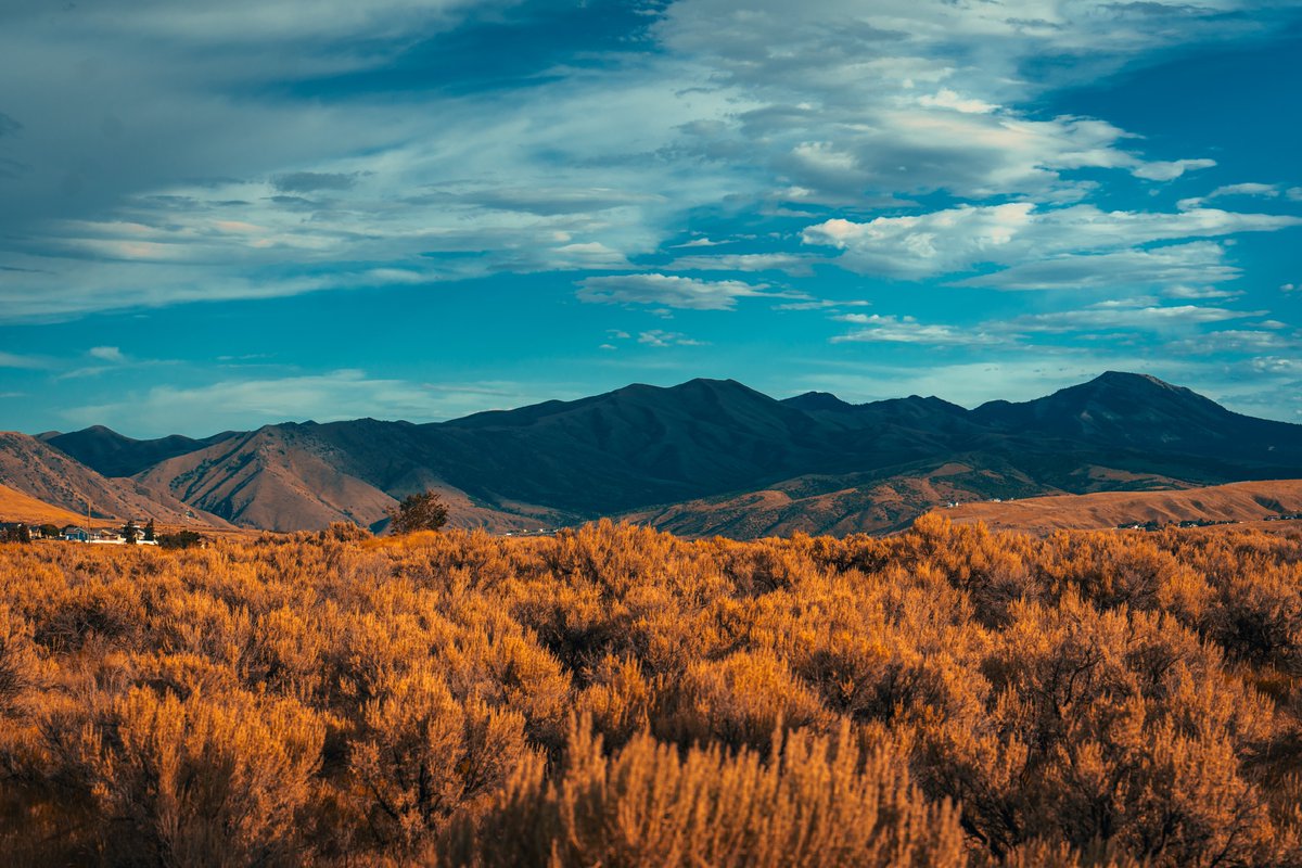 Fahim Al Mahmud Ashik tweet media