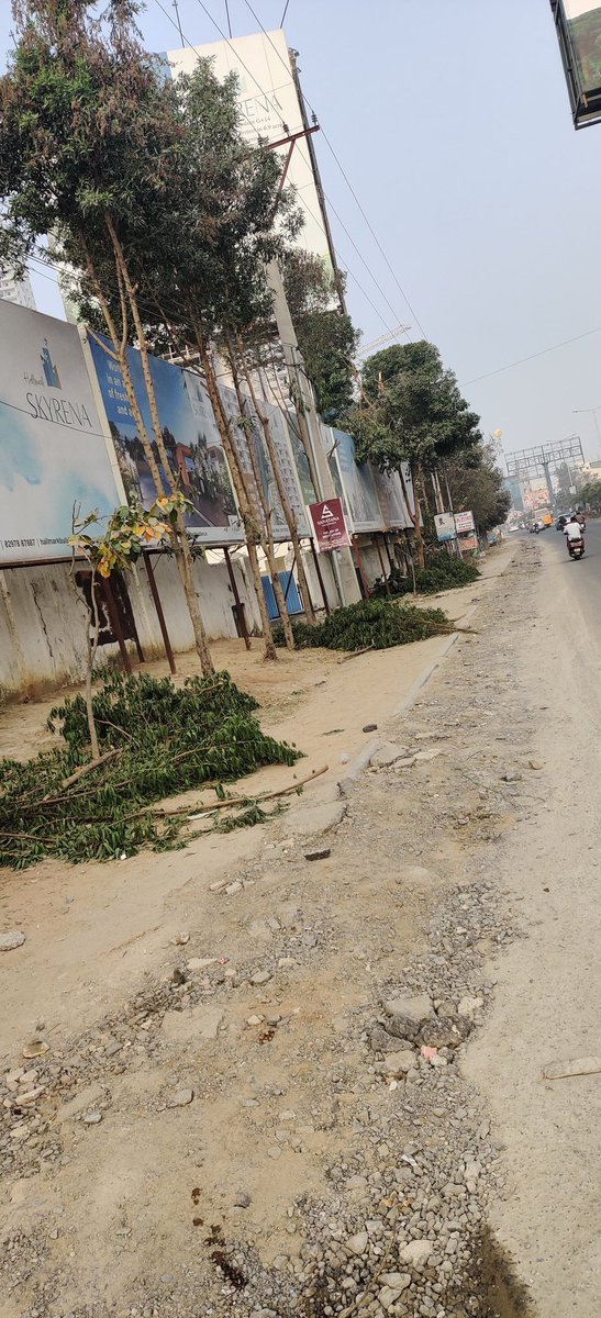 PANDARAJATH's tweet image. #Axed #trees @HarithaHaram @vata_foundation