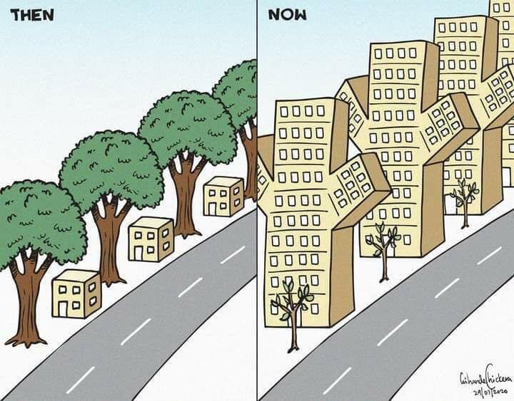 scialert's tweet image. 🏡🌳 Time's twist: Once, houses were cozy, trees towering. Now, homes reach new heights while our green companions seem to shrink. A flip in the landscape! 🔄🌿 #ChangingTimes #UrbanShift #NatureVsArchitecture