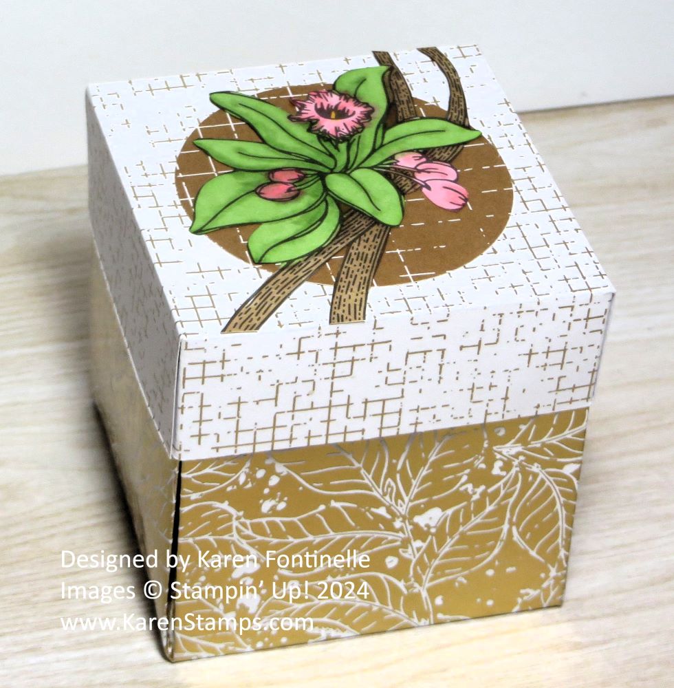 KarenStamps's tweet image. Make this easy explosion box by just scoring and folding some paper.  Put a little message inside with a gift or treat. Follow the directions on my blog post. karenstamps.com/natures-sweetn… #stampinup #explosionbox
#designerpaper #treatbox #papercrafts #naturessweetness