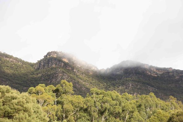 Parks Victoria tweet media