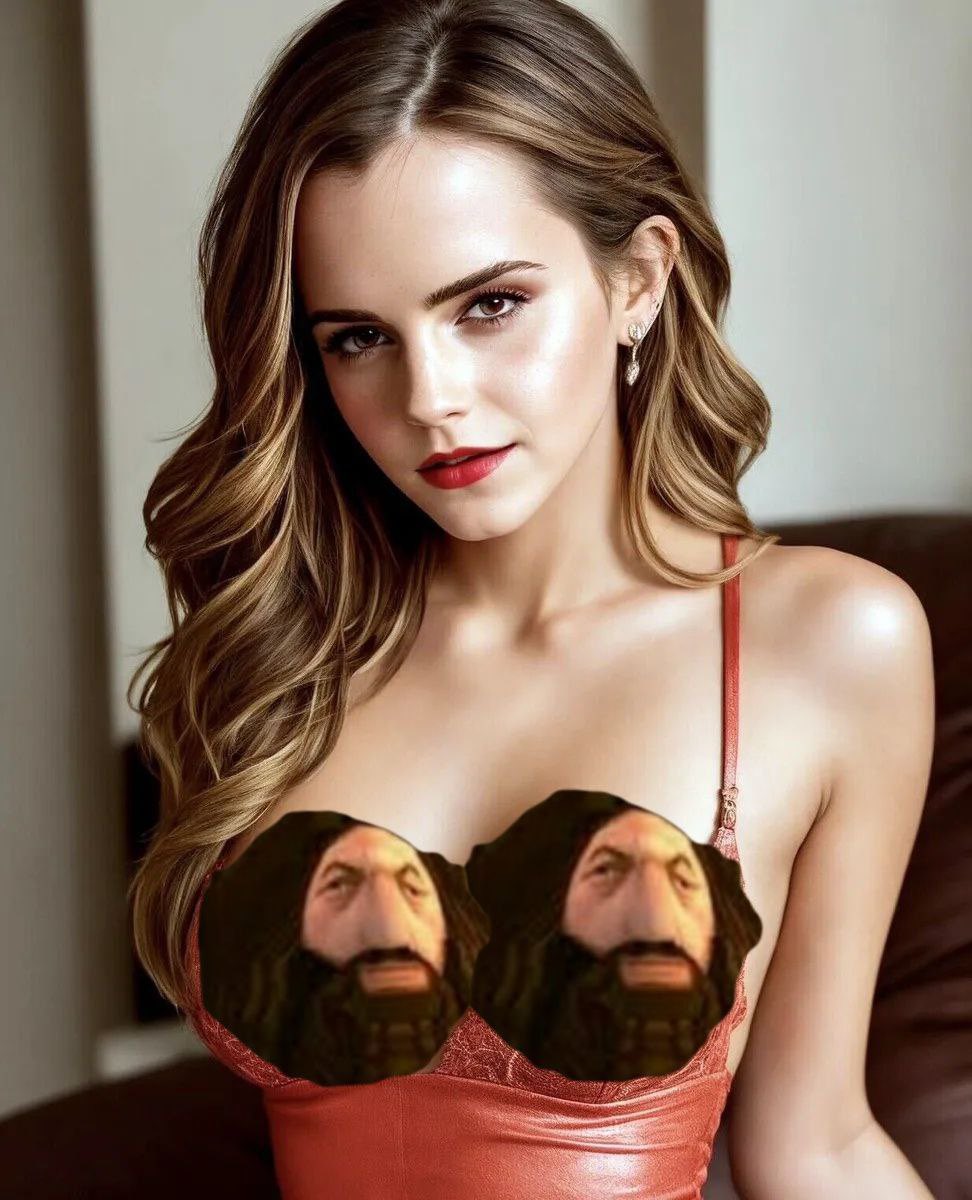 THE REAL $HAGGORD ON SOL tweet media