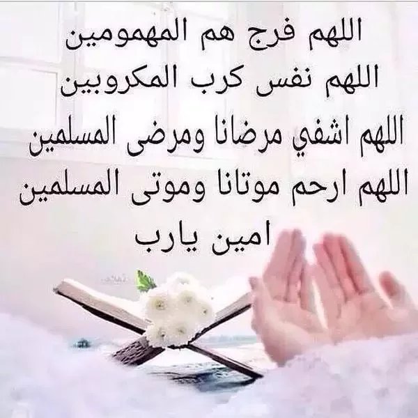 #صباح__الخير #تبوك_الان
 والله العظيم محتاجين مساعده من اهل الخير احنا عائله كبيره وايتام 7 بنات و ولد واحد عمره 15و الاب متوفي ظروفنا صعبه يشهد الله ويعلم بالحال نبغى احد يفرج علينا ويسدد لنا فاتورة الكهربا املنا بالله ثم بأهل الخير طلبتك 
مالنا أحد غيركم يأهل الخير افرجو
