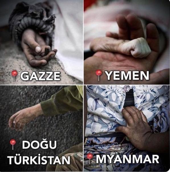 ziyanindefteri's tweet photo. “Müminler ancak kardeştirler…”
Hucurât/10

#GazaStarving https://t.co/snHMVJB8J7