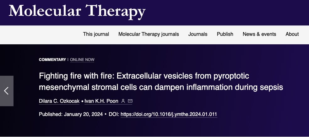First pub of the year with <a href="/Dr_Ivan_Poon/">Ivan Poon</a> <a href="/LabACDC/">ACDC Lab</a>!  We wrote a commentary on a recently published study by Xiaoxing Kou and Xi Wei's group looking at functions of pyroptotic EVs released by MSCs. 
Have a read! authors.elsevier.com/c/1iSlN_YhAs0W…