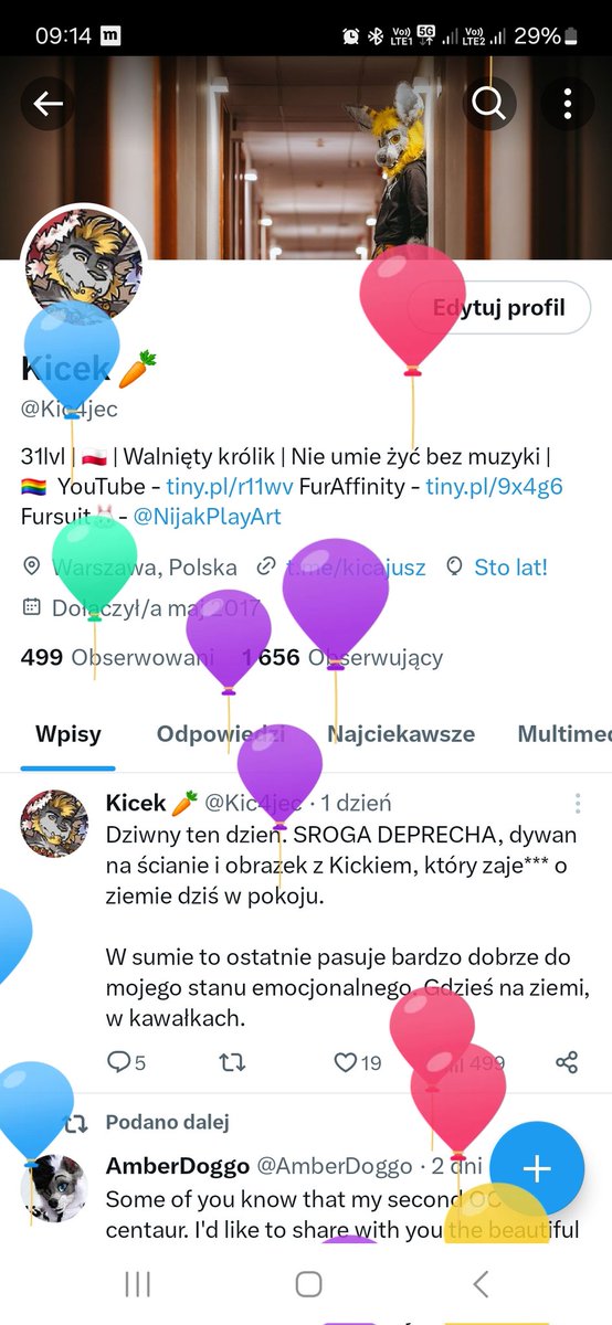 Kicek 🥕 tweet media