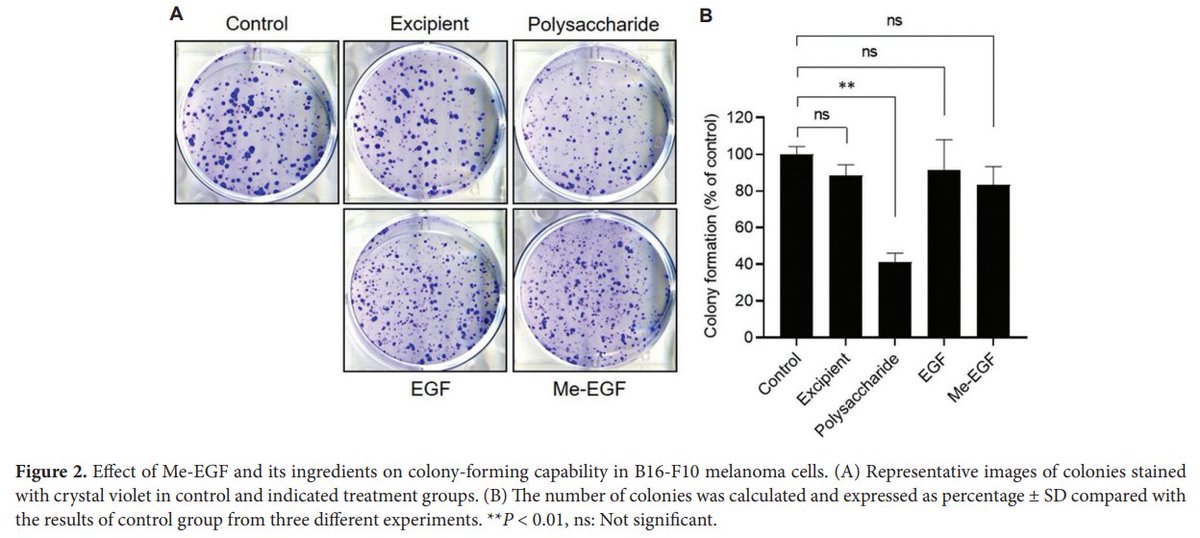 GPD_ASP's tweet image. 🔥#InterestingPaper "Continuous topical application of #microencapsulated recombinant human epidermal growth factor does not promote the progression of established #melanoma in animals"
By Chien-Shan Wu et al.

DOI: doi.org/10.36922/gpd.1…