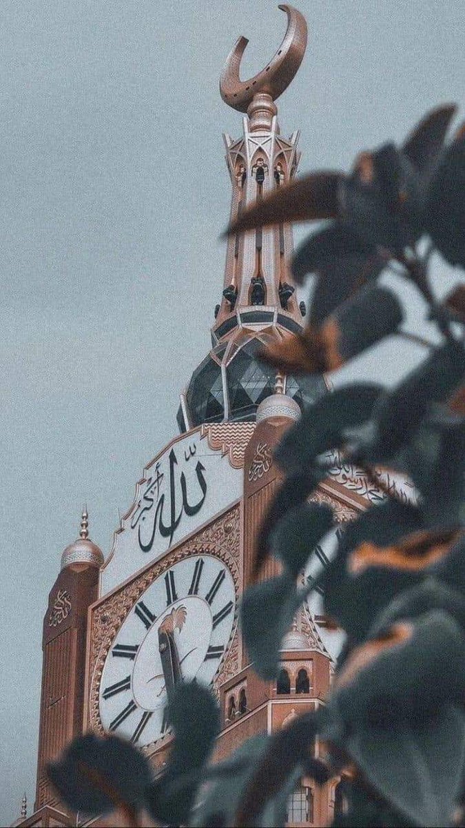 Assalam o Alikum ♥️🥰
Good morning 🌞🌞