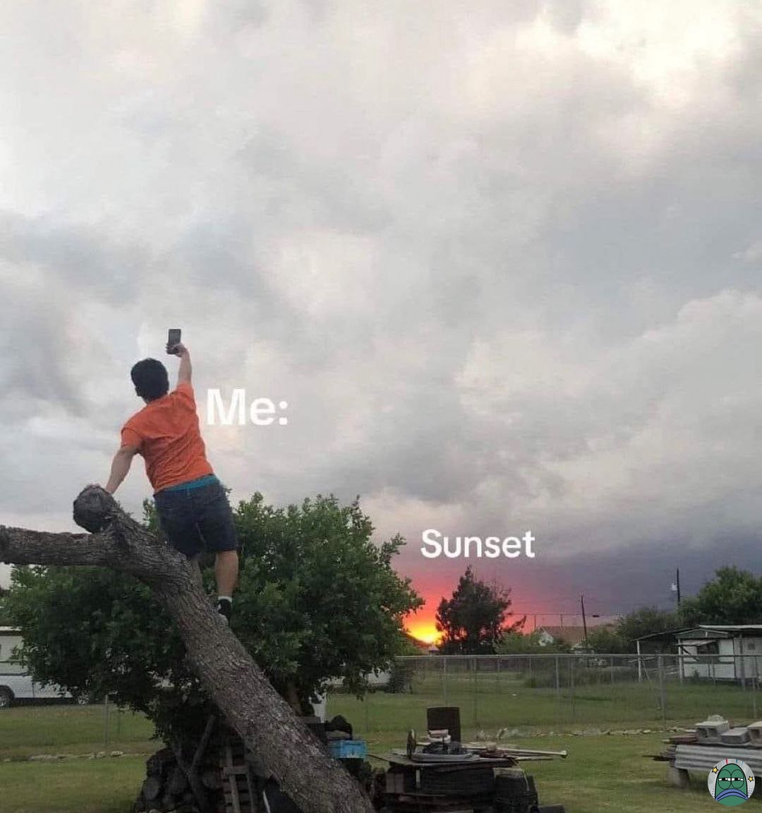 tanyarlfes's tweet image. 💚 T R U E ?