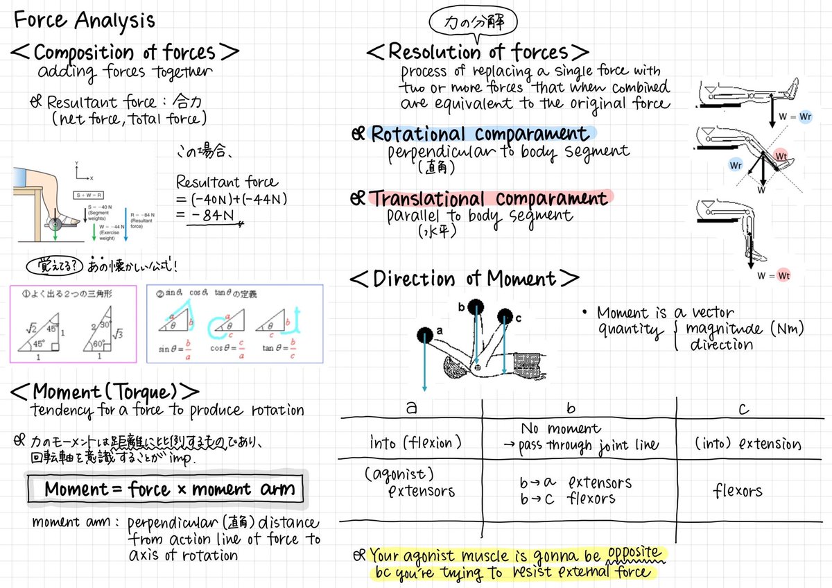 【バイオメカニクス】

Internal force: 内力
External force: 外力
Moment (torque):トルク
Moment arm: ムーメントアーム

この単語たちが授業でたくさん登場します、！物理の基礎がいかに重要かが分かります😭

点と点が繋がるような授業が増えてきて感動！！どの授業も「全部」大事です。