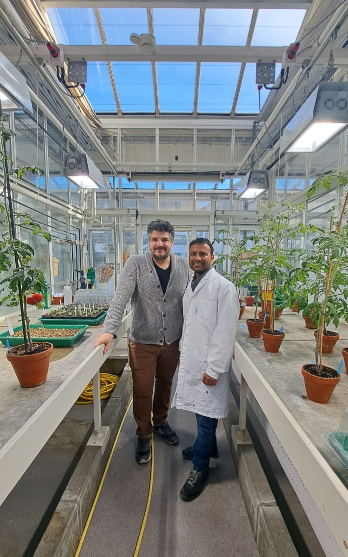 EpicatchS's tweet photo. Another #STSM supported by @EpicatchS  Dr. Pawan Kumar from the group of @LiebermanMichal (ARO) will spend 2 months in the group of Sotirios Fragkostefanakis (Goethe University Frankfurt) @HotPlant1  to investigate the epigenetic mechanisms related to tomato thermotolerance https://t.co/9xW7AkOBiy